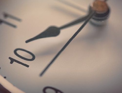 Quick Meal Ideas From Trader Joe’s